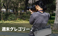 週末グレゴリー♪