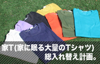 家T総入れ替え計画