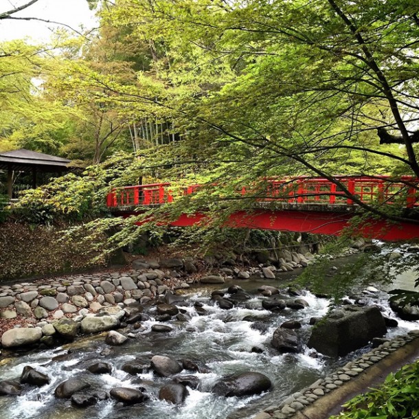 写真-2015-04-11-22-50-30