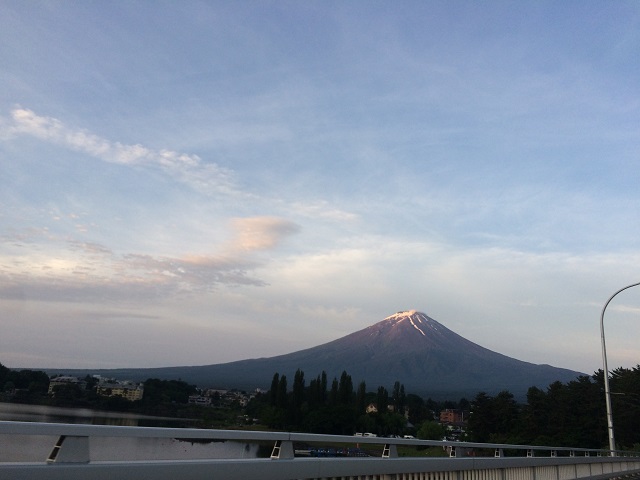 IMG_1194[1]