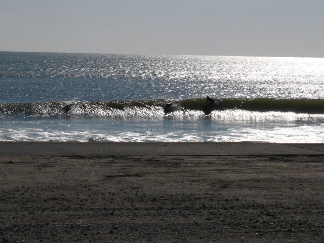 P1110015