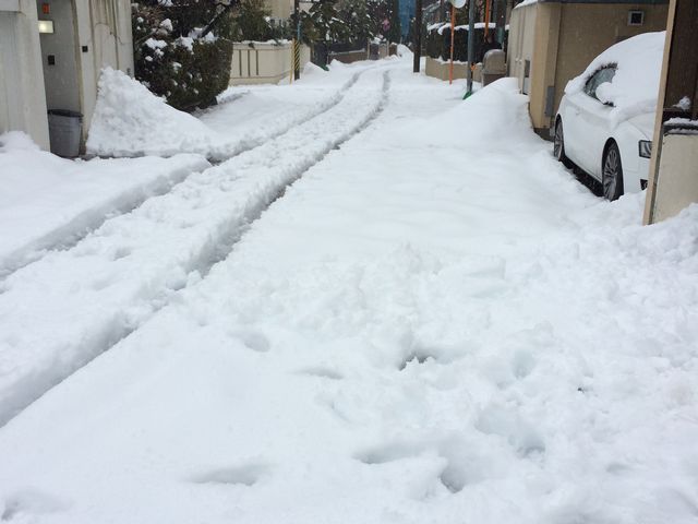 雪1
