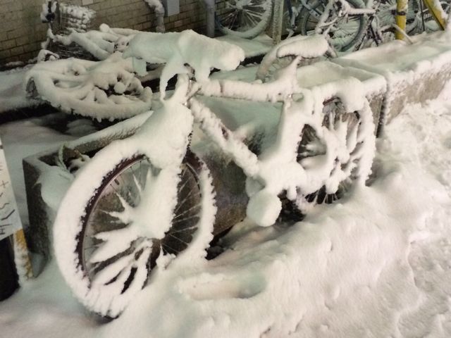 自転車