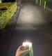 light/knog