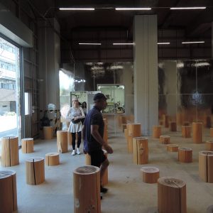 2025年、自転車乗りの “ちょっとだけ気になる”ランキング