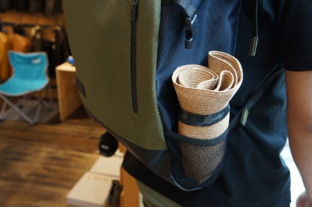 DSC09030-610x405
