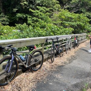穴虫峠とディープ大阪散策ライド