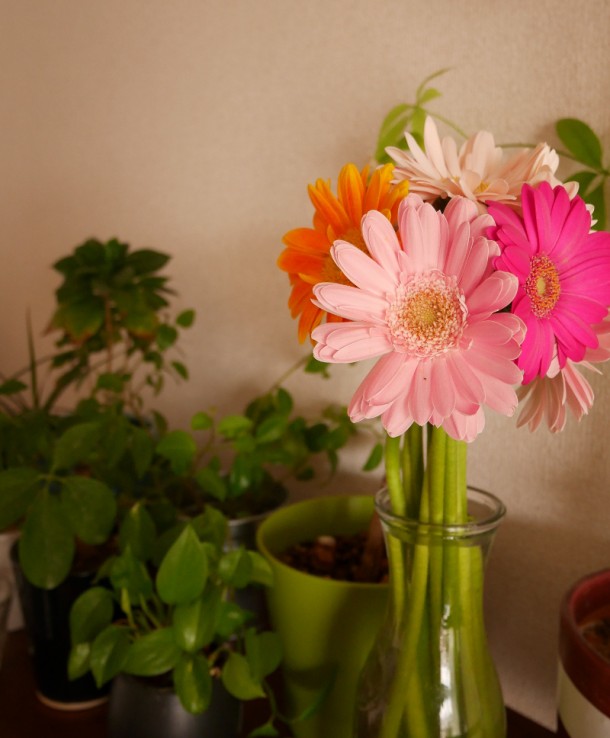 P1200222_blog