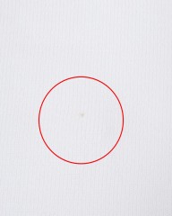 MAISON CORNICHON※ワケあり※ボートネック ソリッド【Boat Neck】mb_16l