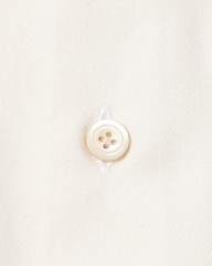 ERRICO FORMICOLA起毛コットンツイル レギュラーカラーシャツ【HUGO】mb_10l