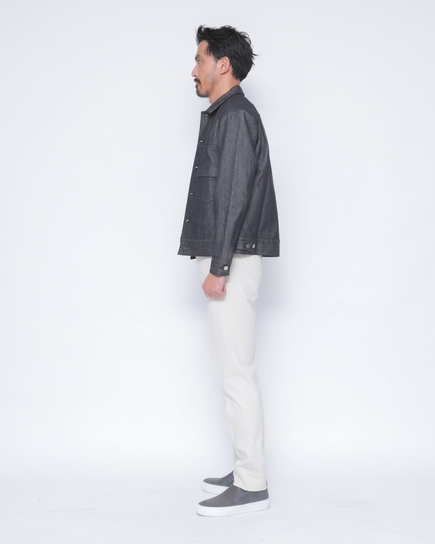 INCOTEXロイヤルバタビア ストレッチドレスチノ 【1951 COLLECTION /30 SLIM FIT】29l