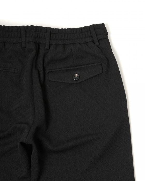 BERWICHポリコットン テーパードパンツ【BERTO/べルト】16l
