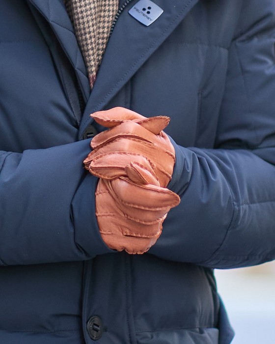 ALPOディアスキングローブ【CERVO HS SFOD】13l