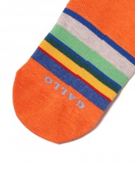 GALLOマルチボーダー シューズインソックス【COLLECTION】mb_03l