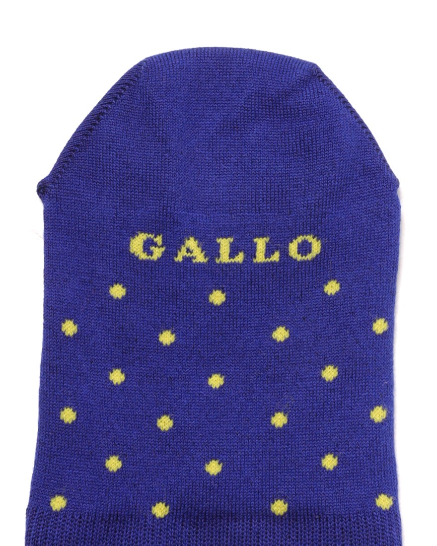 GALLOドットシューズインソックス【COLLECTION】05l