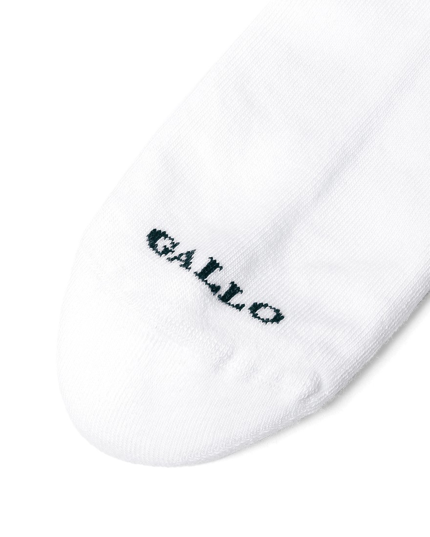 GALLO2ラインソックス【SPORT】07l
