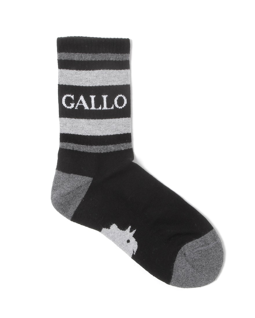 GALLOラインリブ ソックス【SPORT】02l