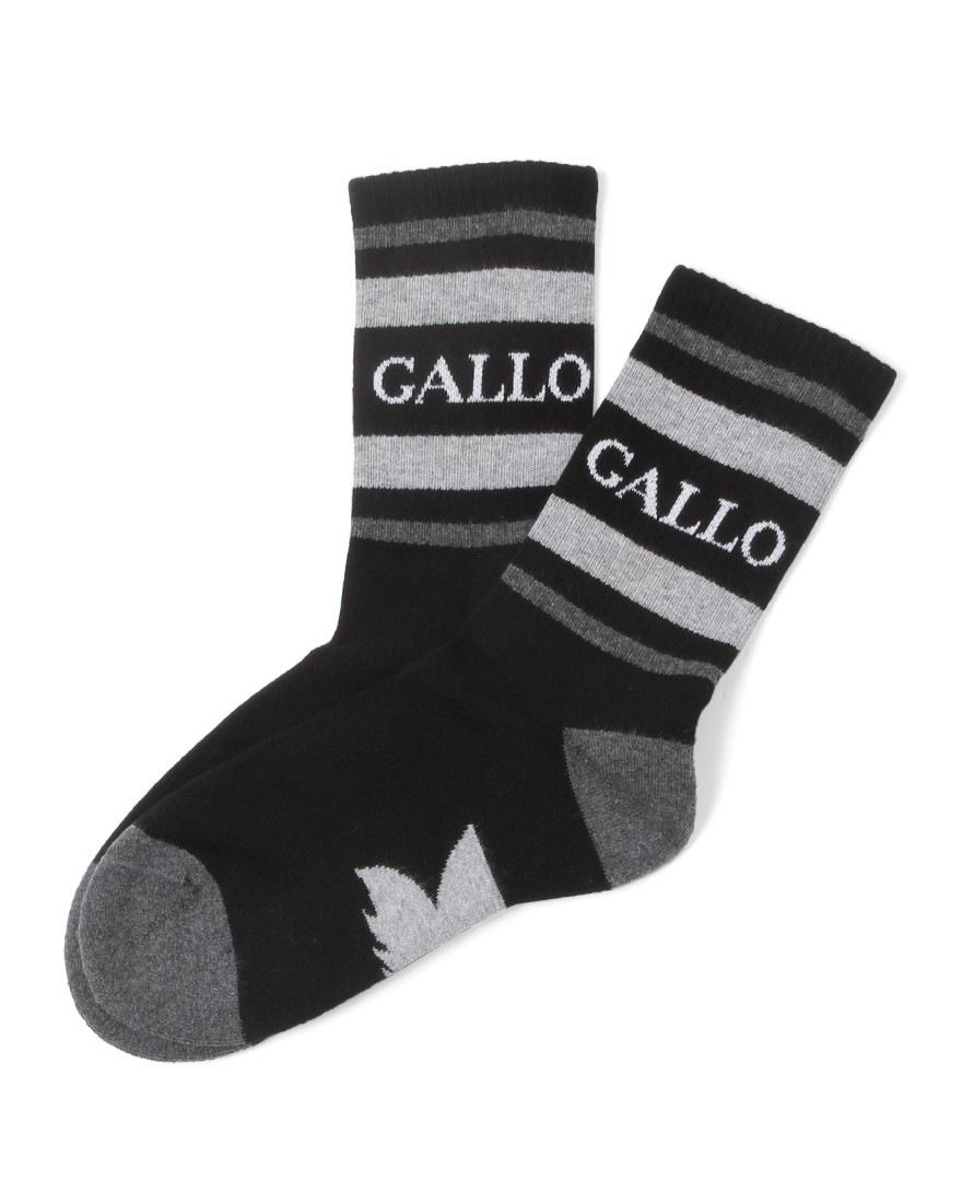 GALLOラインリブ ソックス【SPORT】c0