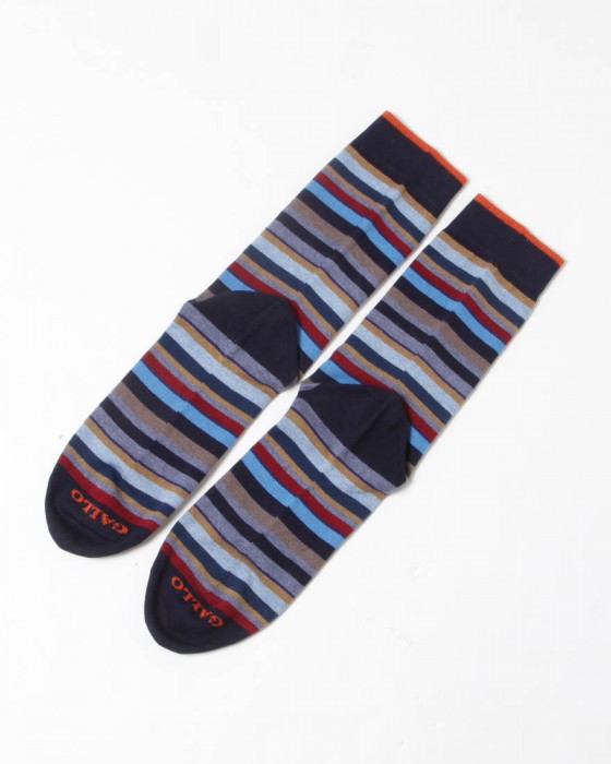 GALLO細マルチカラーボーダー ソックス【COLLECTION】04l