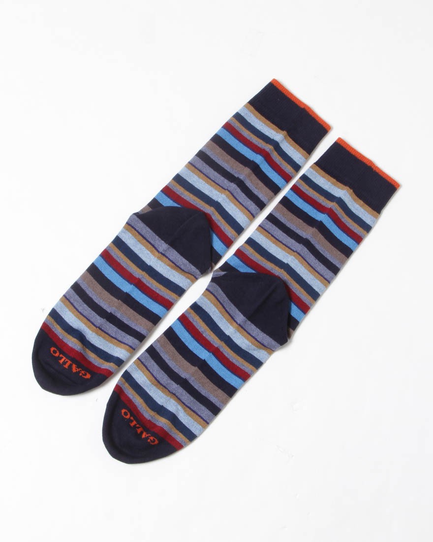 GALLO細マルチカラーボーダー ソックス【COLLECTION】04l