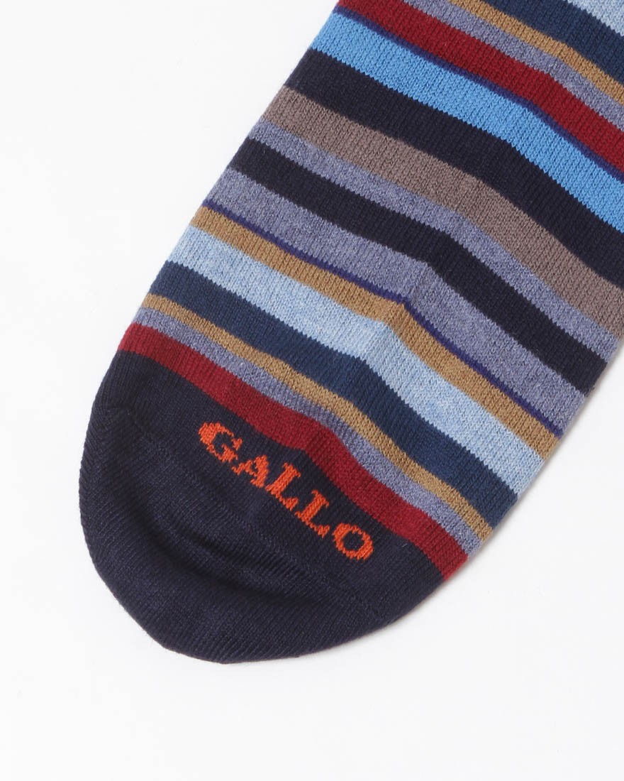 GALLO細マルチカラーボーダー ソックス【COLLECTION】06l