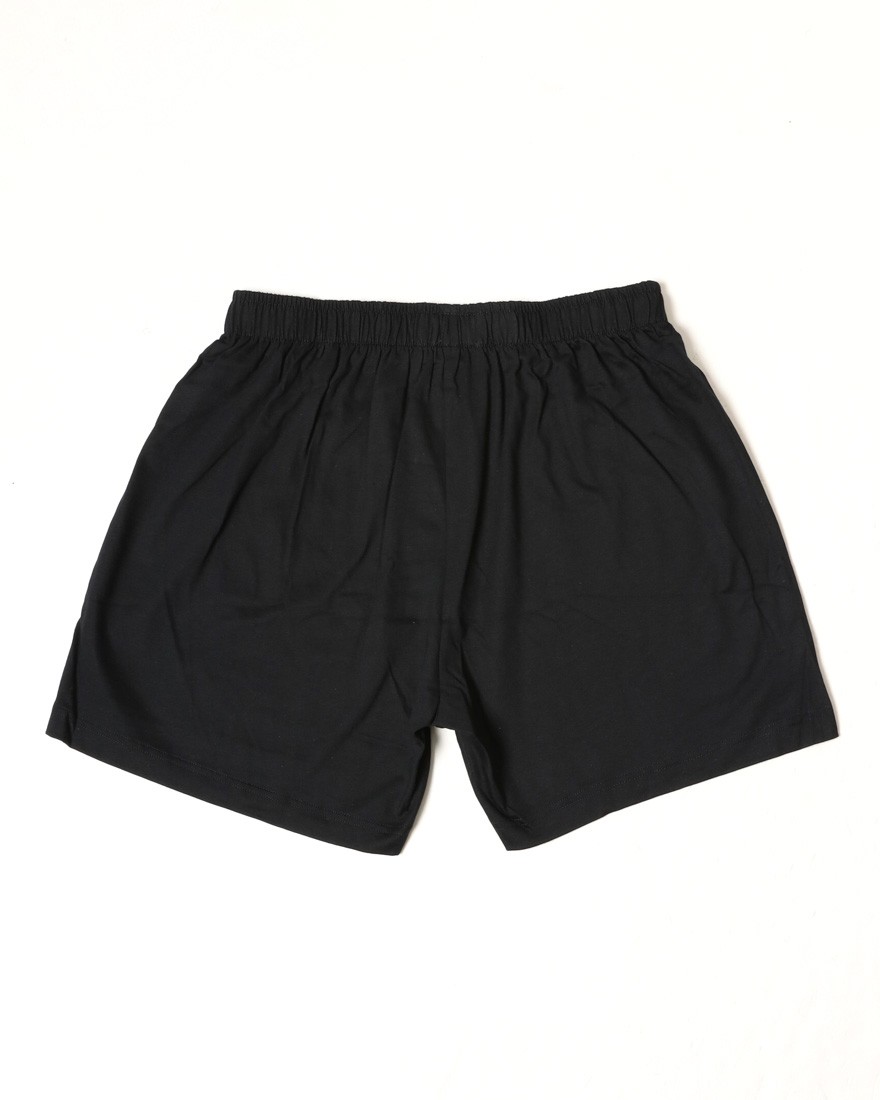 Schiesser2パック ソリッドカラー ジャージートランクス【BOXERSHORTS】02l
