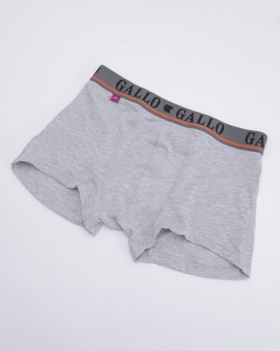 GALLOベーシックボクサーブリーフ【Boxer】02l