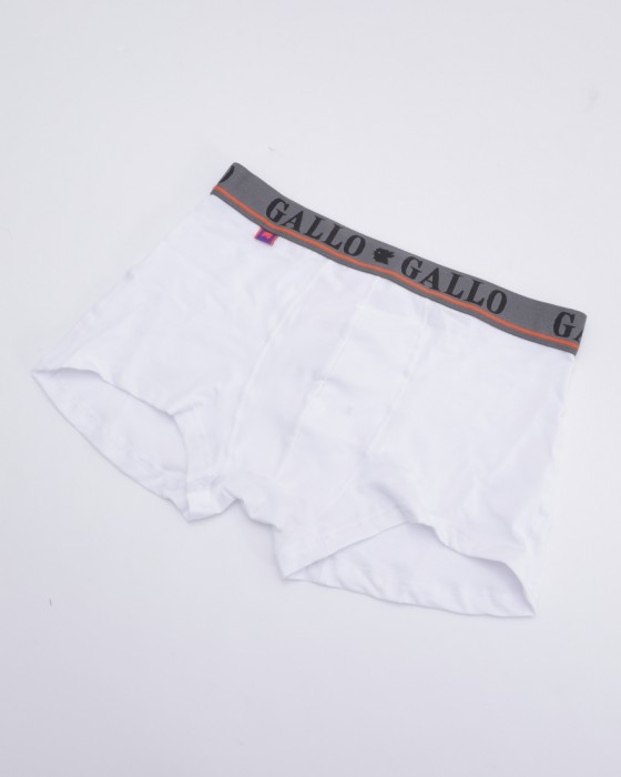 GALLOストレッチコットン ベーシックボクサーブリーフ【Boxer】01l