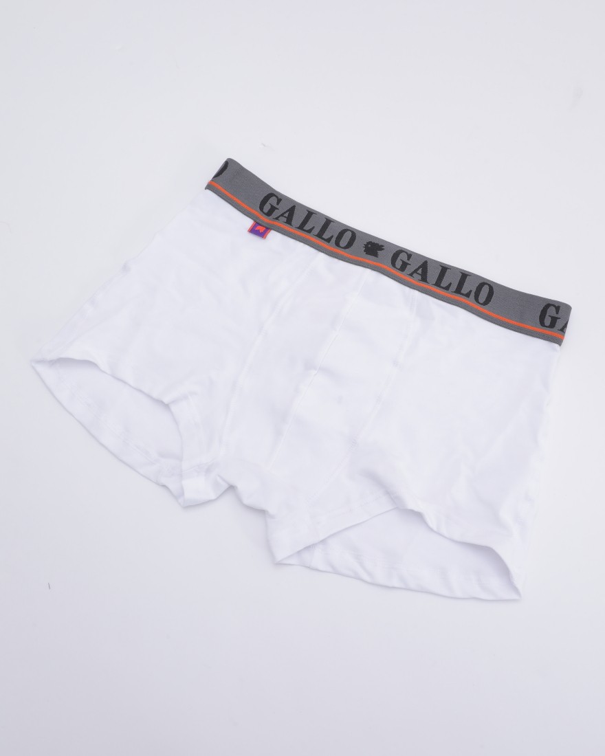 GALLOストレッチコットン ベーシックボクサーブリーフ【Boxer】01l