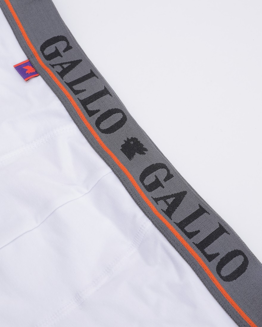 GALLOストレッチコットン ベーシックボクサーブリーフ【Boxer】02l