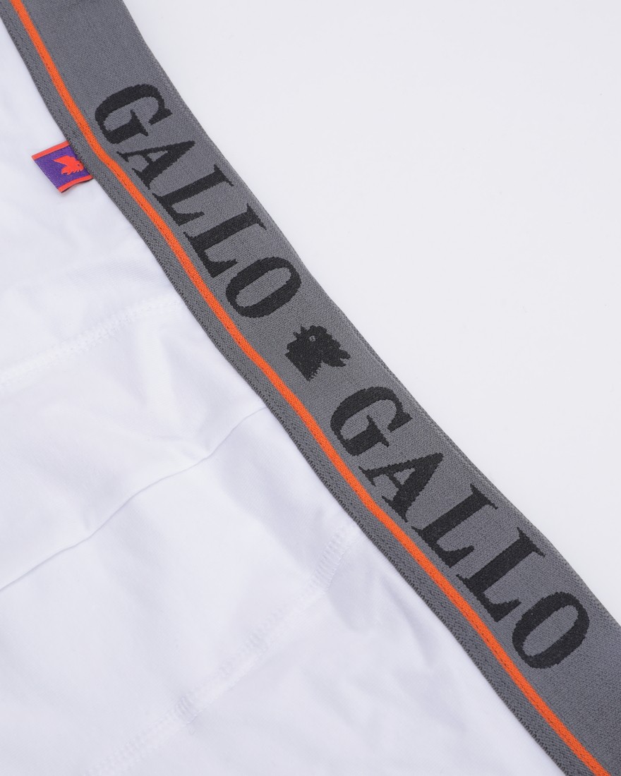 GALLOベーシックボクサーブリーフ02l