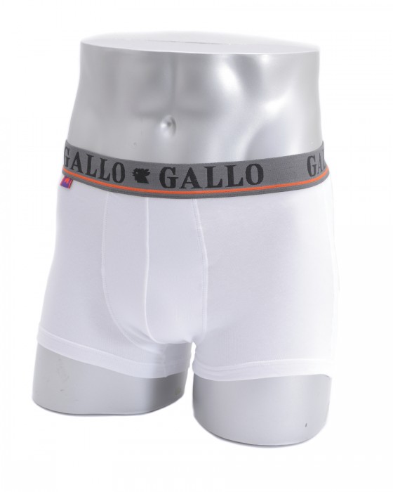 GALLOストレッチコットン ベーシックボクサーブリーフ【Boxer】c0