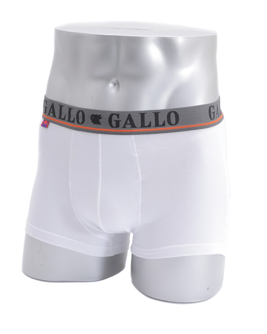 GALLOストレッチコットン ベーシックボクサーブリーフ【Boxer】c0