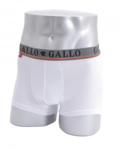 ストレッチコットン ベーシックボクサーブリーフ【Boxer】