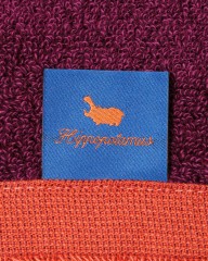 HIPPOPOTAMUSコットン＆バンブームーミン 80th ミニバスタオルmb_07l