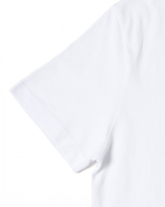 ALBA OPTICSコットン Tシャツ【T-SHIRT LTD EDITION CYCLING SPORT CLUB】11l