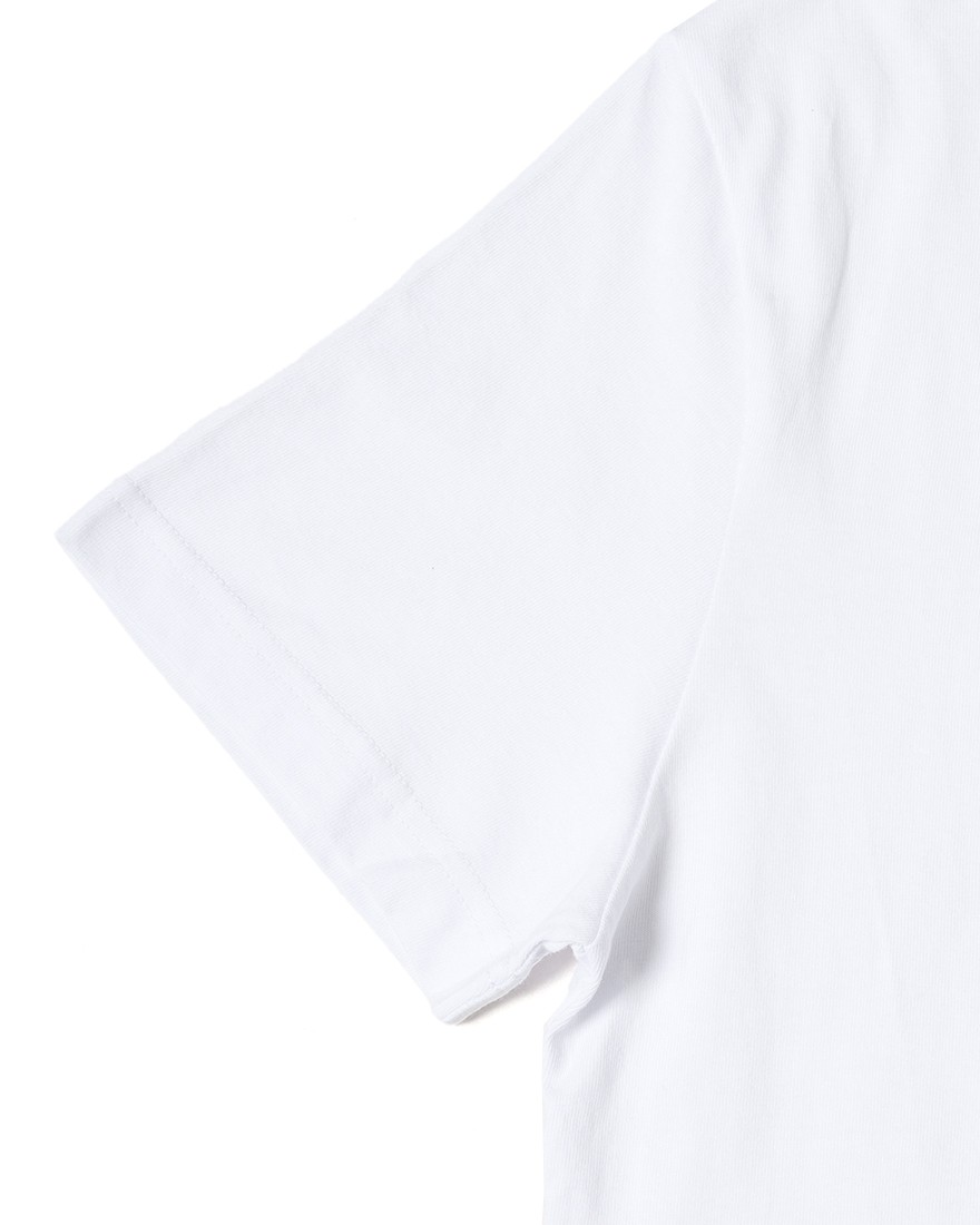 ALBA OPTICSコットン Tシャツ【T-SHIRT LTD EDITION CYCLING SPORT CLUB】11l