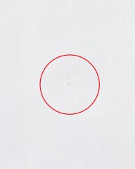 TOKYO WHEELS※ワケあり※僕らのアインシュタインTee【LIFE IS LIKE RIDING A BICYCLE】mb_12l