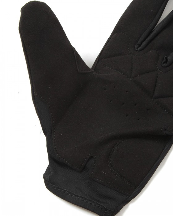 ASSOSロングフィンガーグローブ【RS Long Fingered Gloves TARGA】10l