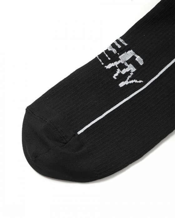 ASSOSリカバリーサイクルソックス 【Recovery Socks EVO】03l