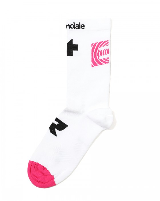 ASSOS＜限定＞サイクルソックス【EQUIPE R Socks EF】04l