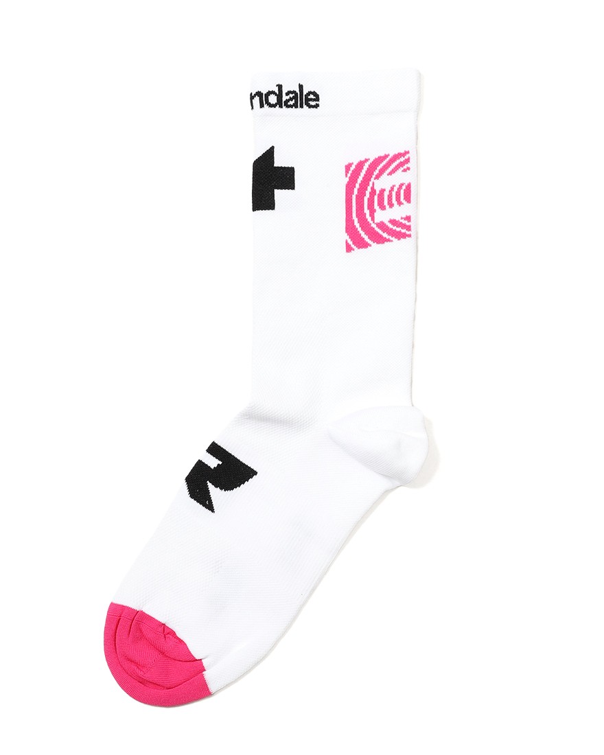 ASSOS＜限定＞サイクルソックス【EQUIPE R Socks EF】04l