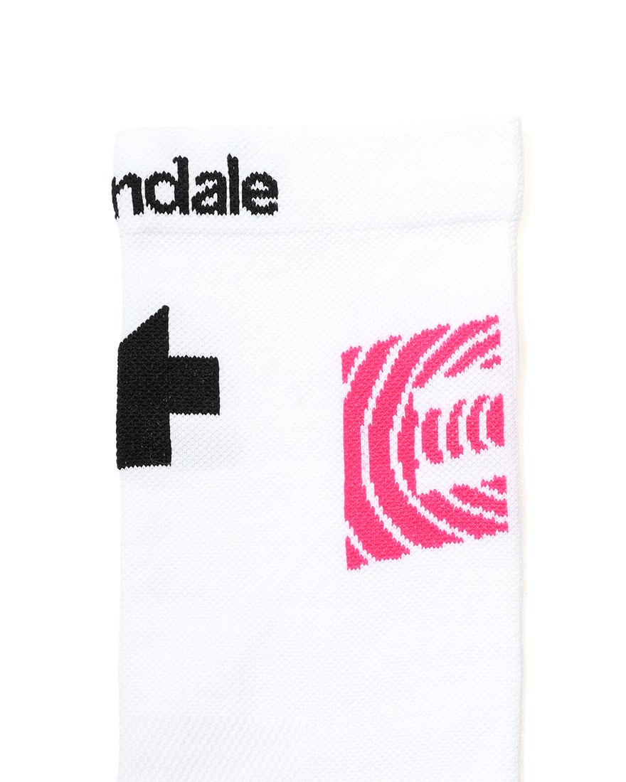 ASSOS＜限定＞サイクルソックス【EQUIPE R Socks EF】10l