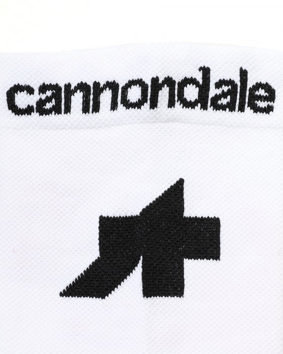 ASSOS＜限定＞サイクルソックス【EQUIPE R Socks EF】13l