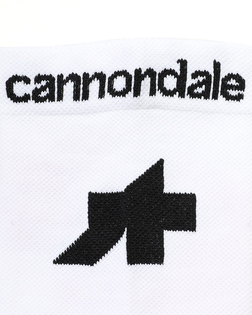 ASSOS＜限定＞サイクルソックス【EQUIPE R Socks EF】13l