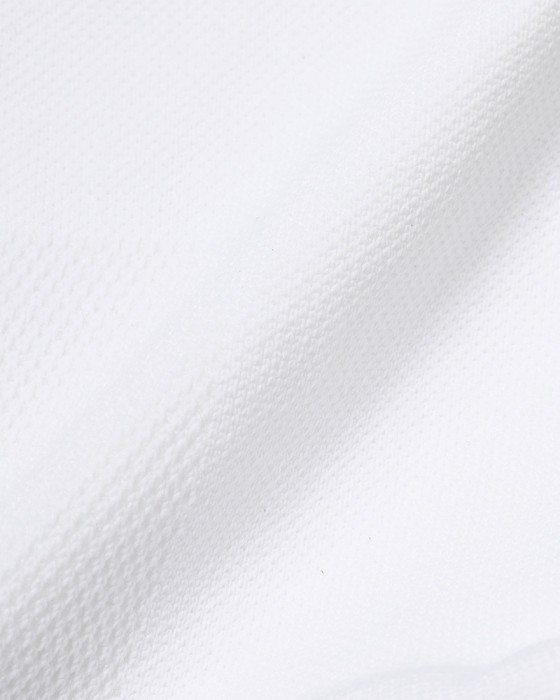 ASSOS＜限定＞サイクルソックス【EQUIPE R Socks EF】15l