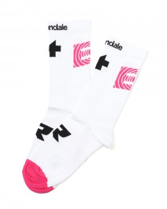 ＜限定＞サイクルソックス【EQUIPE R Socks EF】