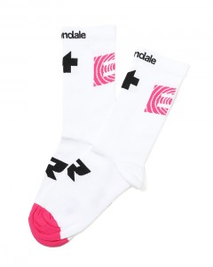 ＜限定＞サイクルソックス【EQUIPE R Socks EF】