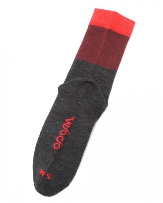 Velocioトリコロールシグネチャーウールソックス【Tricolor Signature Wool Sock】07l