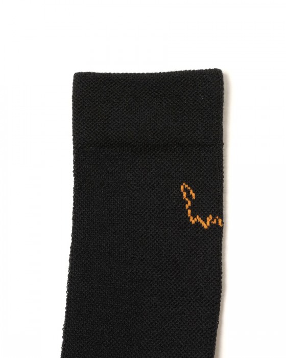 ALBIONサイクルソックス【ZOA MERINO SOCKS】10l